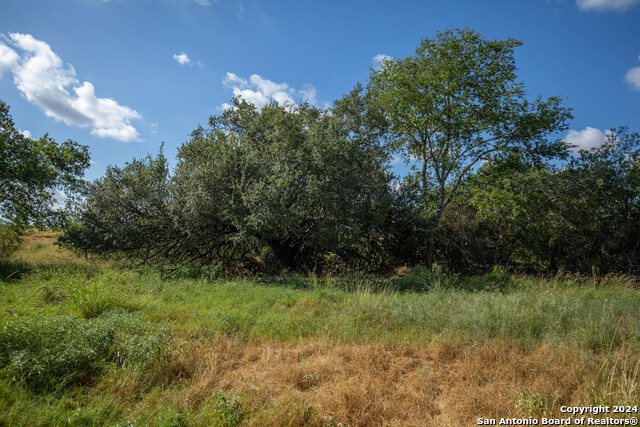 Image 21 of 25 For 546 Pr Goose Creek Ln