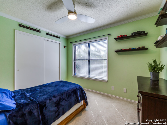 Image 17 of 25 For 11334 Amhurst
