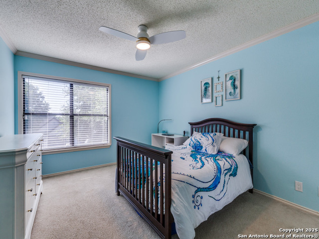 Image 19 of 25 For 11334 Amhurst