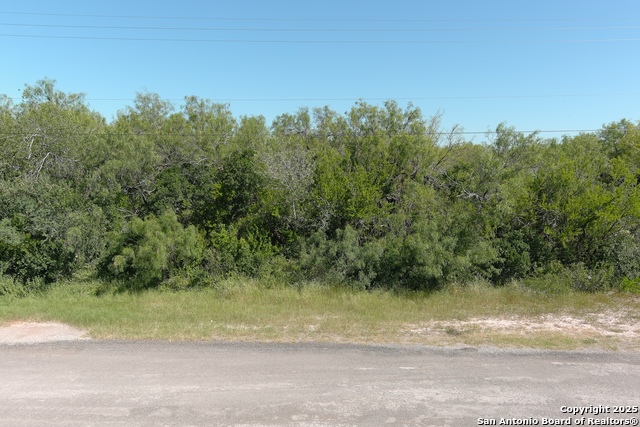 Listing photo id 2 for Tbd Flack West