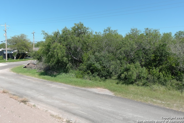 Listing photo id 3 for Tbd Flack West