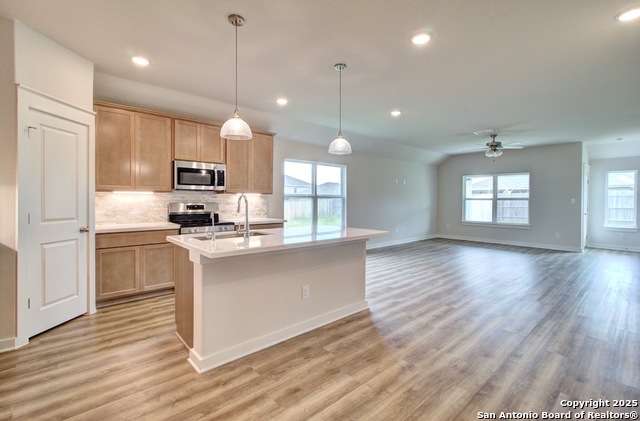 Details for 217 Red Arrow, San Antonio, TX 78253