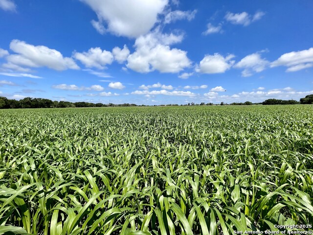 Image 16 of 45 For 1543 Cr 215  