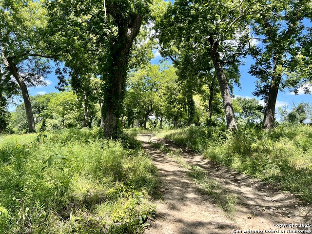 Image 22 of 45 For 1543 Cr 215  