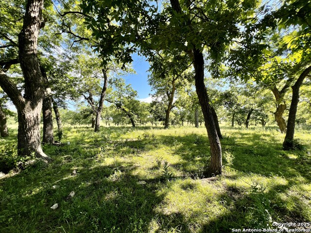 Image 7 of 45 For 1543 Cr 215  