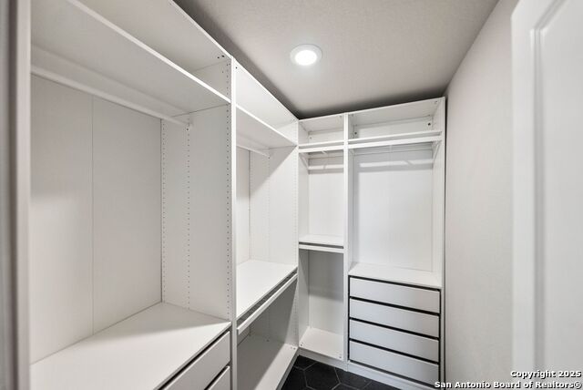 Image 14 of 25 For 8531 Western Tanager