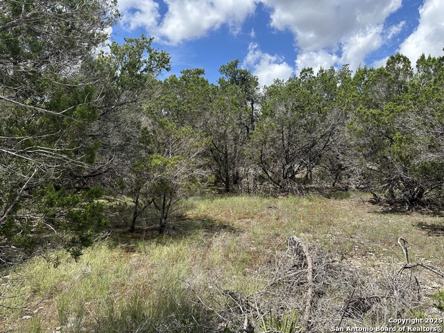 Details for 7131 Rebecca Creek, Spring Branch, TX 78070