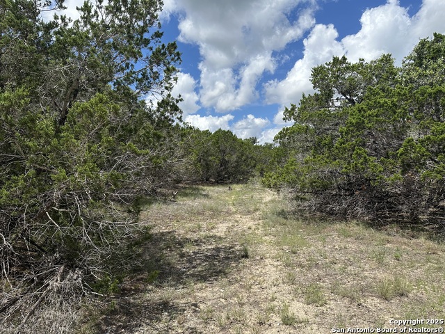 Image 2 of 14 For 7131 Rebecca Creek