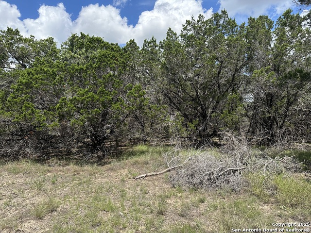 Image 3 of 14 For 7131 Rebecca Creek