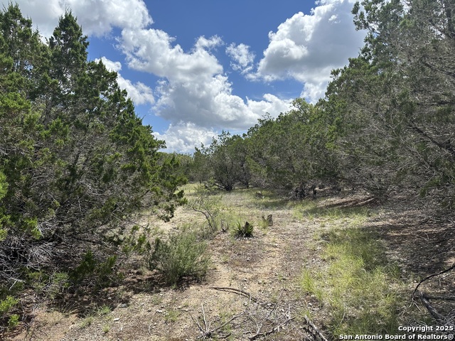 Image 4 of 14 For 7131 Rebecca Creek