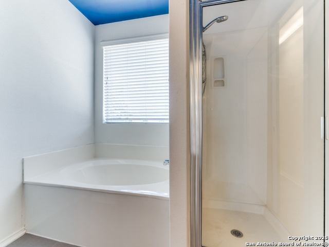 Image 17 of 24 For 9510 Caspian Forest