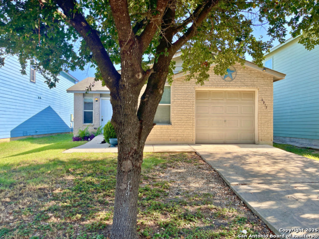 Image 2 of 13 For 6015 Plumbago Place