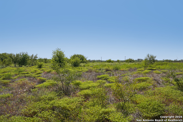 Image 5 of 19 For Tbd Fm 1937  