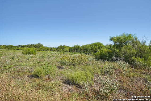 Image 8 of 19 For Tbd Fm 1937  