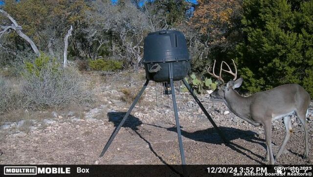 Listing photo id 16 for Tbd Sd31500