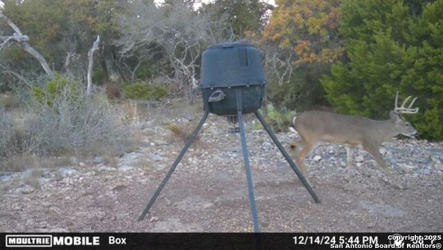 Listing photo id 17 for Tbd Sd31500