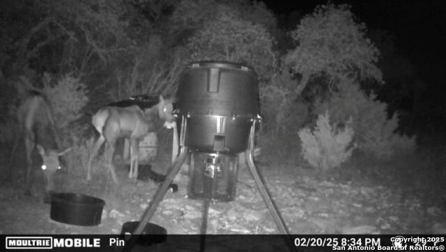 Listing photo id 0 for Tbd Sd31500