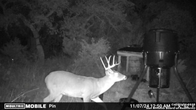 Listing photo id 19 for Tbd Sd31500