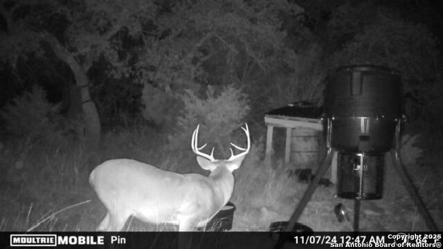 Listing photo id 20 for Tbd Sd31500
