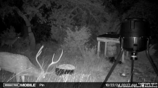 Listing photo id 22 for Tbd Sd31500