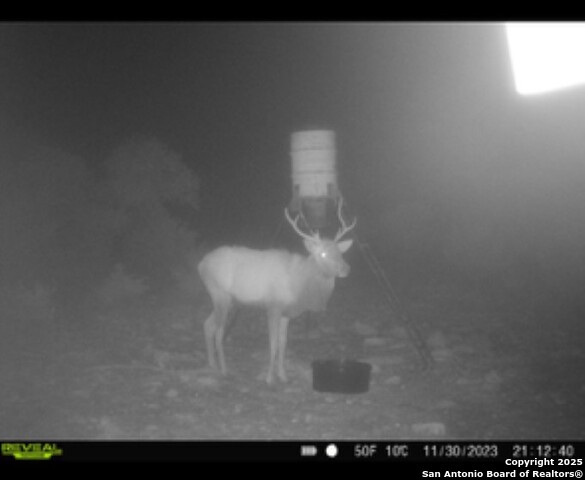 Listing photo id 1 for Tbd Sd31500
