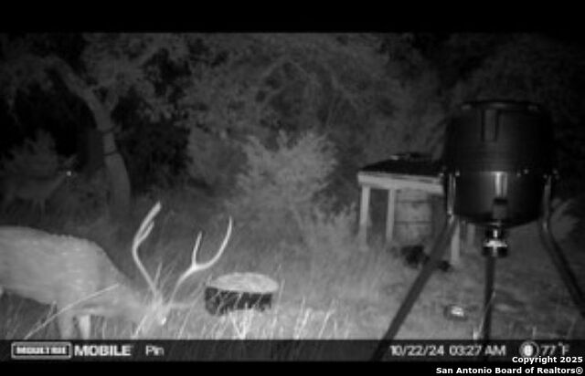 Listing photo id 2 for Tbd Sd31500