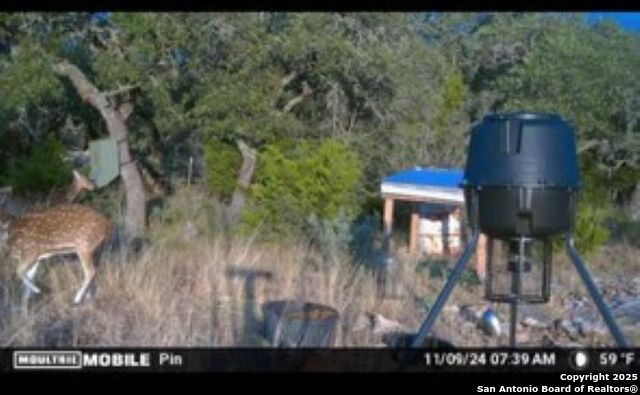 Listing photo id 3 for Tbd Sd31500