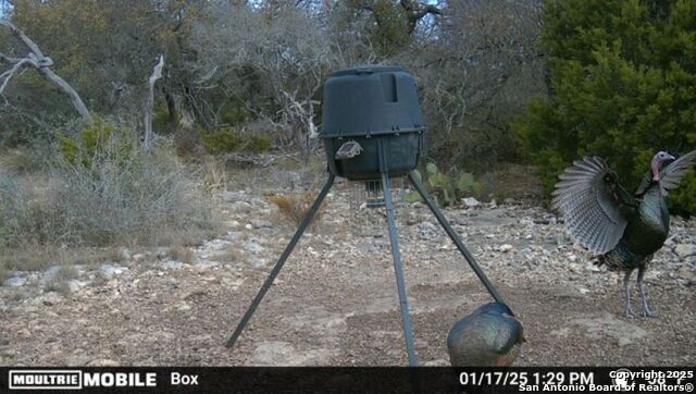 Listing photo id 5 for Tbd Sd31500