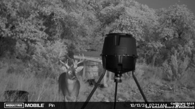 Listing photo id 6 for Tbd Sd31500