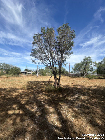 Image 4 of 5 For 1208 Plum  