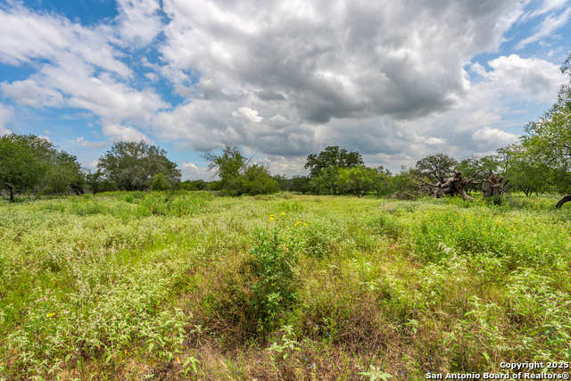 Details for 330 Encino Crossing S, Natalia, TX 78059