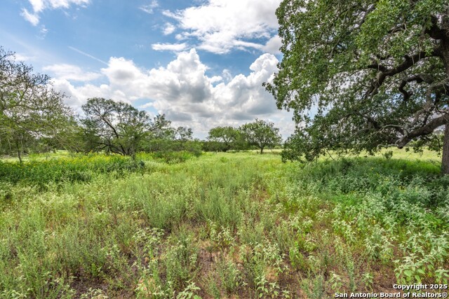 Listing photo id 8 for 330 Encino Crossing S