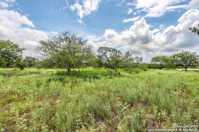 Listing photo id 9 for 330 Encino Crossing S