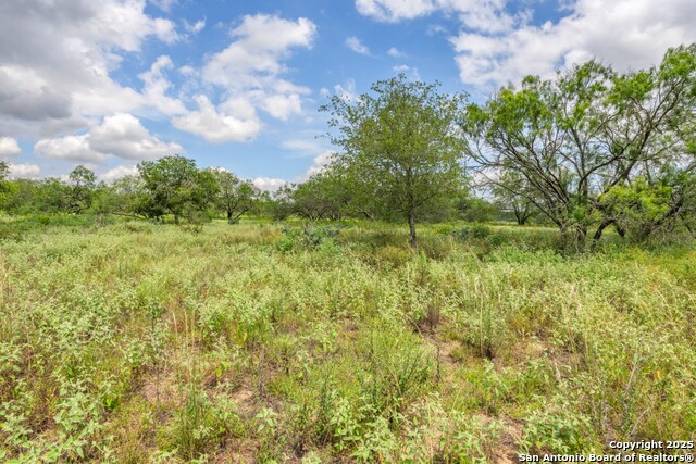Listing photo id 11 for 330 Encino Crossing S