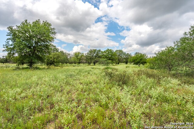Listing photo id 12 for 330 Encino Crossing S