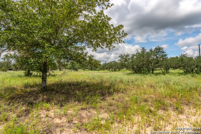 Listing photo id 15 for 330 Encino Crossing S