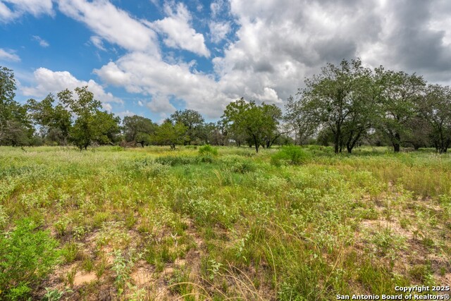 Listing photo id 2 for 330 Encino Crossing S