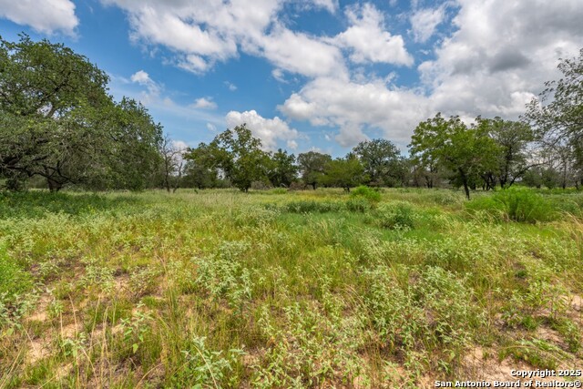 Listing photo id 3 for 330 Encino Crossing S