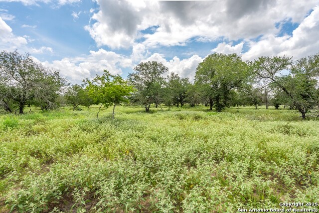 Listing photo id 6 for 330 Encino Crossing S