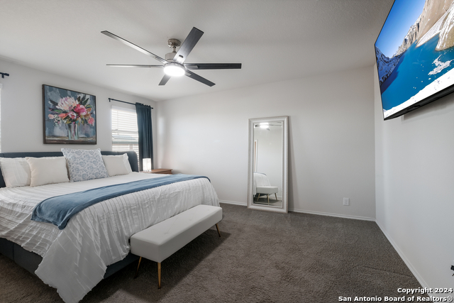 Image 12 of 35 For 10019 Bur Sedge