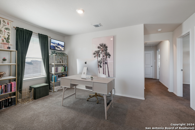 Image 16 of 35 For 10019 Bur Sedge