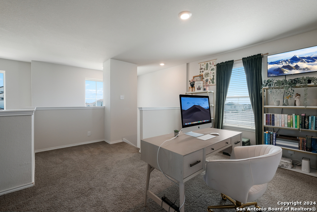 Image 17 of 35 For 10019 Bur Sedge