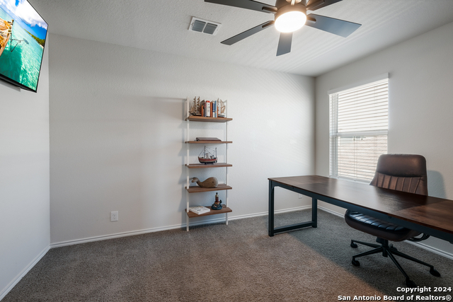 Image 19 of 35 For 10019 Bur Sedge