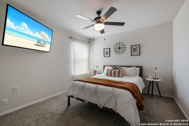 Image 20 of 35 For 10019 Bur Sedge