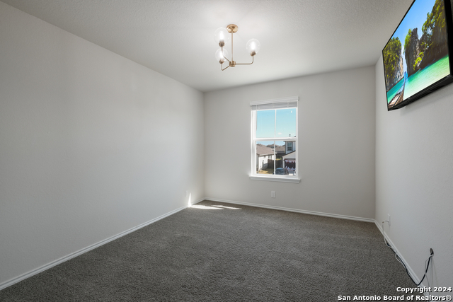 Image 21 of 35 For 10019 Bur Sedge