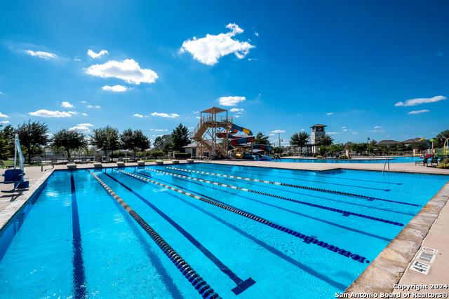 Image 29 of 35 For 10019 Bur Sedge