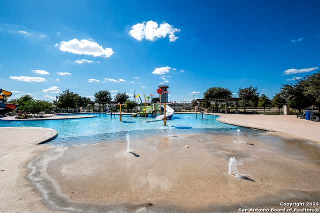 Image 31 of 35 For 10019 Bur Sedge