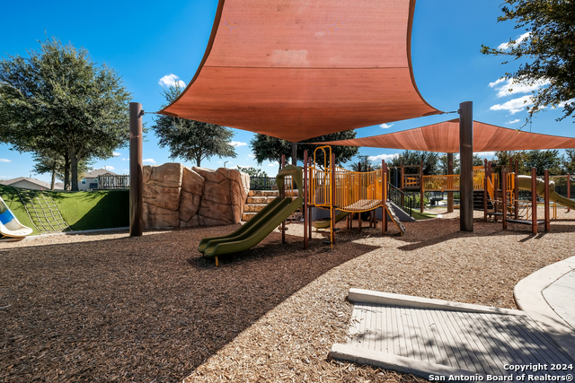 Image 32 of 35 For 10019 Bur Sedge