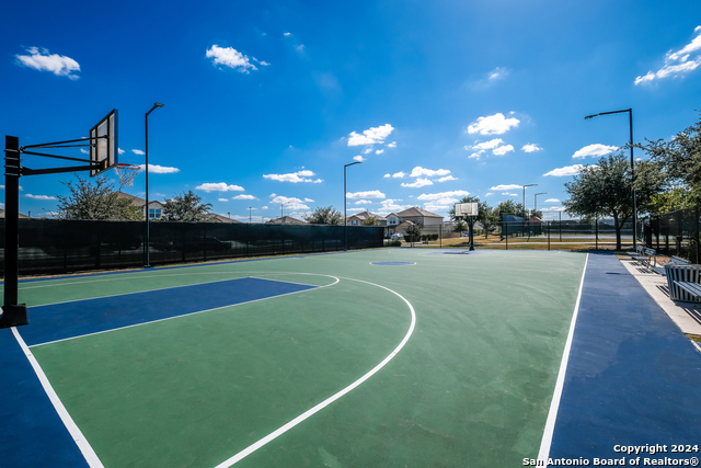 Image 33 of 35 For 10019 Bur Sedge