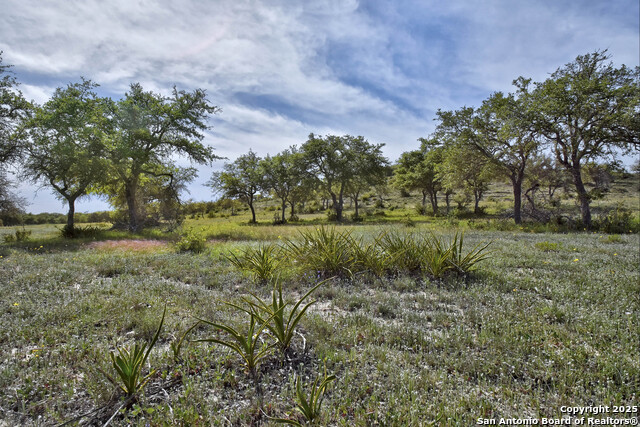 Image 9 of 46 For 5032 Kendalia Rd
